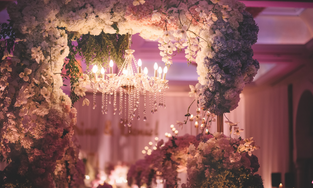 Lux Event Planners, Sagara